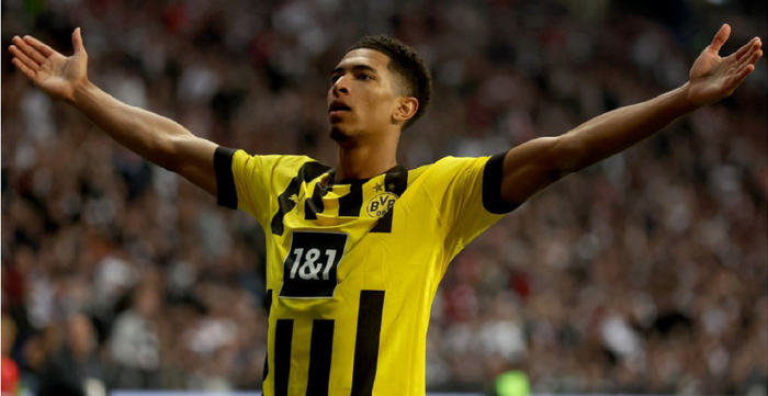 何塑造运动 何塑造运动