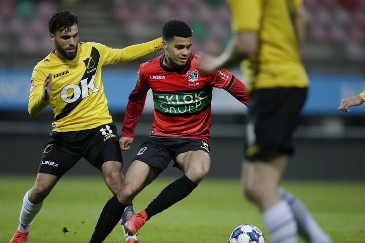 的全能表现 的全能表现